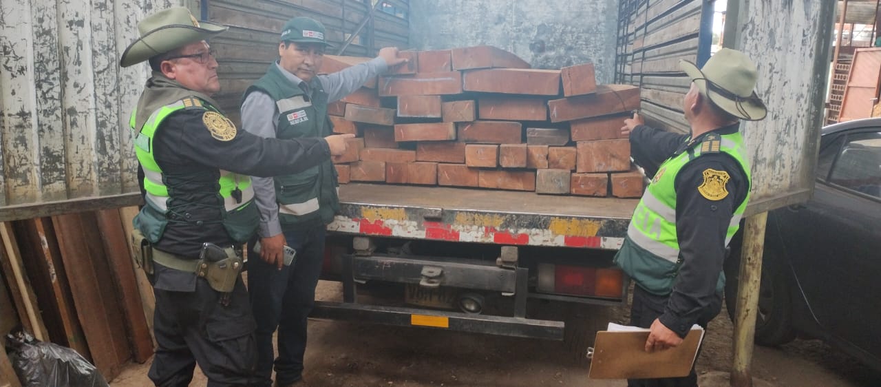 Decomisan madera ilegal de cedro valuado en más de 19 mil soles en Arequipa