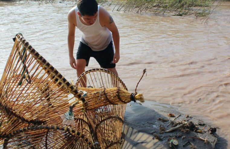 Incautan 500 kilos de camarón ilegal en Rio Majes