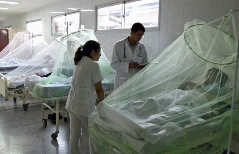 Casos de dengue ya superan los 1000 y hay 2 fallecidos