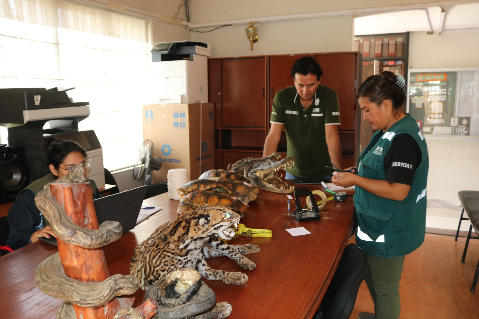 Transfieren fauna decomisada al museo de la UNSA