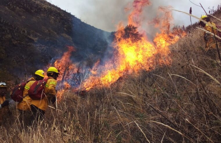 Ola de calor puede agudizar ocurrencia de incendios forestales