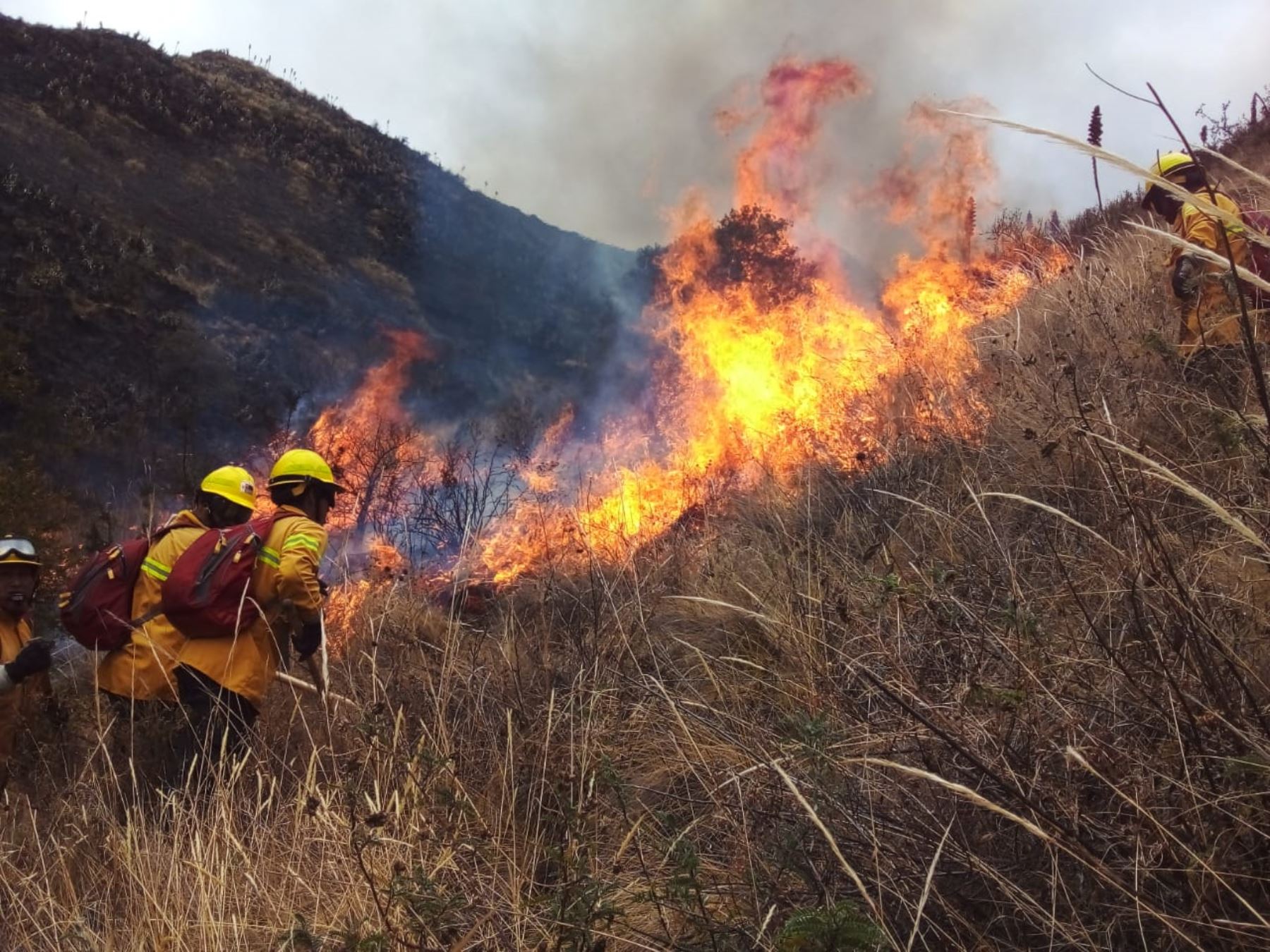 Ola de calor puede agudizar ocurrencia de incendios forestales