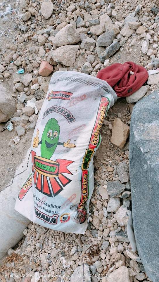 Alerta por primer caso de rabia del 2024 en Mariano Melgar