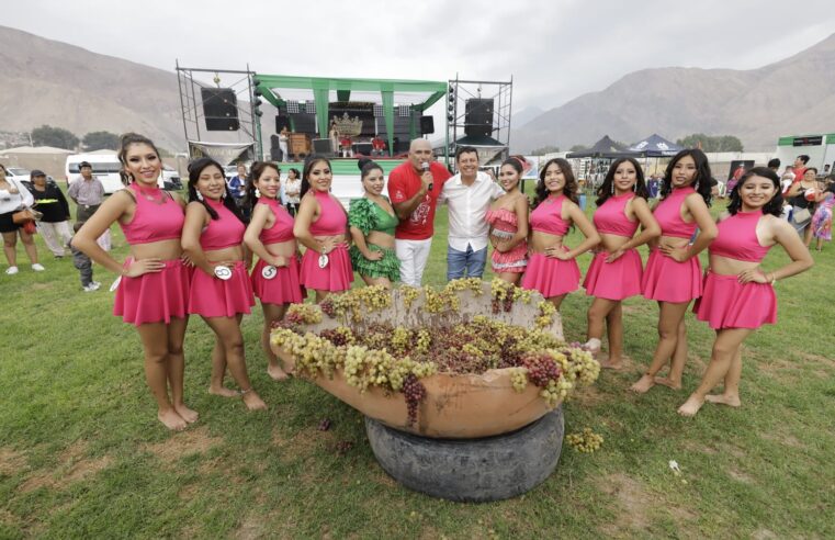 Festival de la Vendimia posiciona a Castilla como provincia vitivinícola