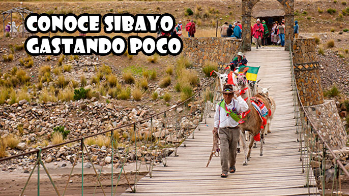 Descubre el Encanto de Sibayo: Trekking con Llamas y Tradiciones Ancestrales