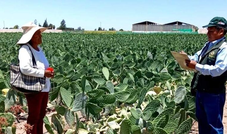 Entregarán más de 7 mil títulos agrarios antes de finalizar 2024