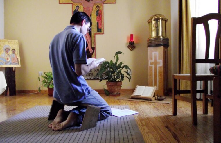 LA LUCHA DE LA CONTEMPLACIÓN