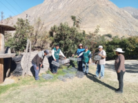 Limpieza de terrenos es medida inicial para prevenir plagas de roedores.