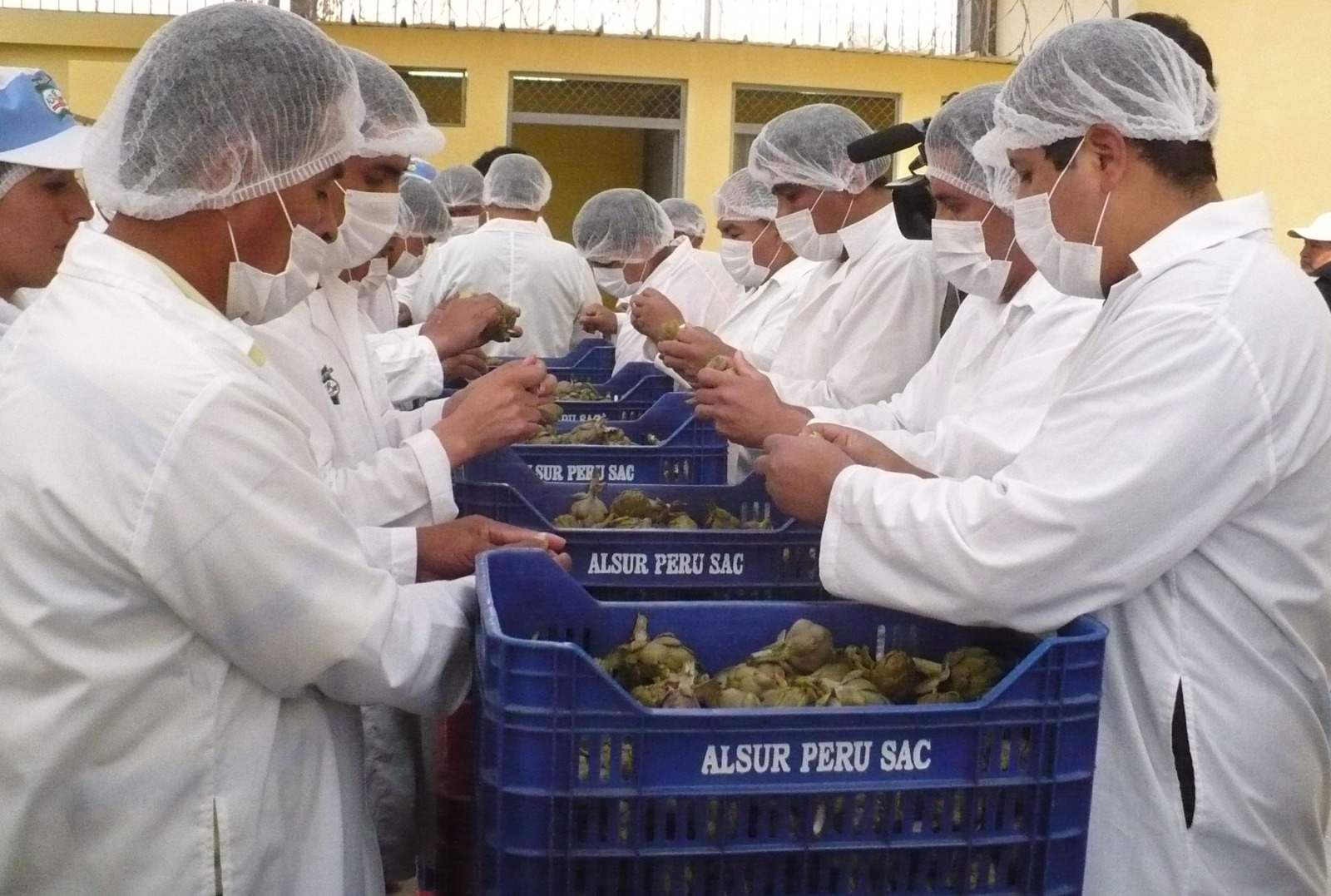 Arequipa: exportaciones crecieron en más del 10% en el último año