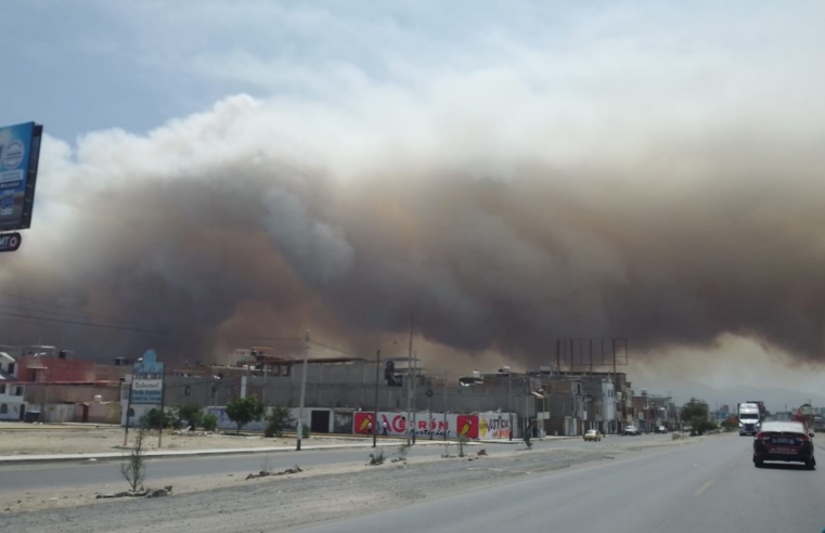 Incendio forestal afectó humedales