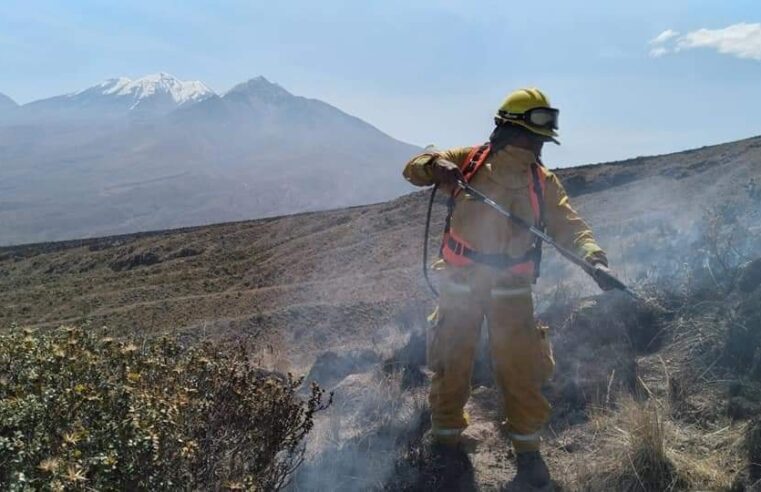 Serfor exige se implemente plan contra incendios forestales