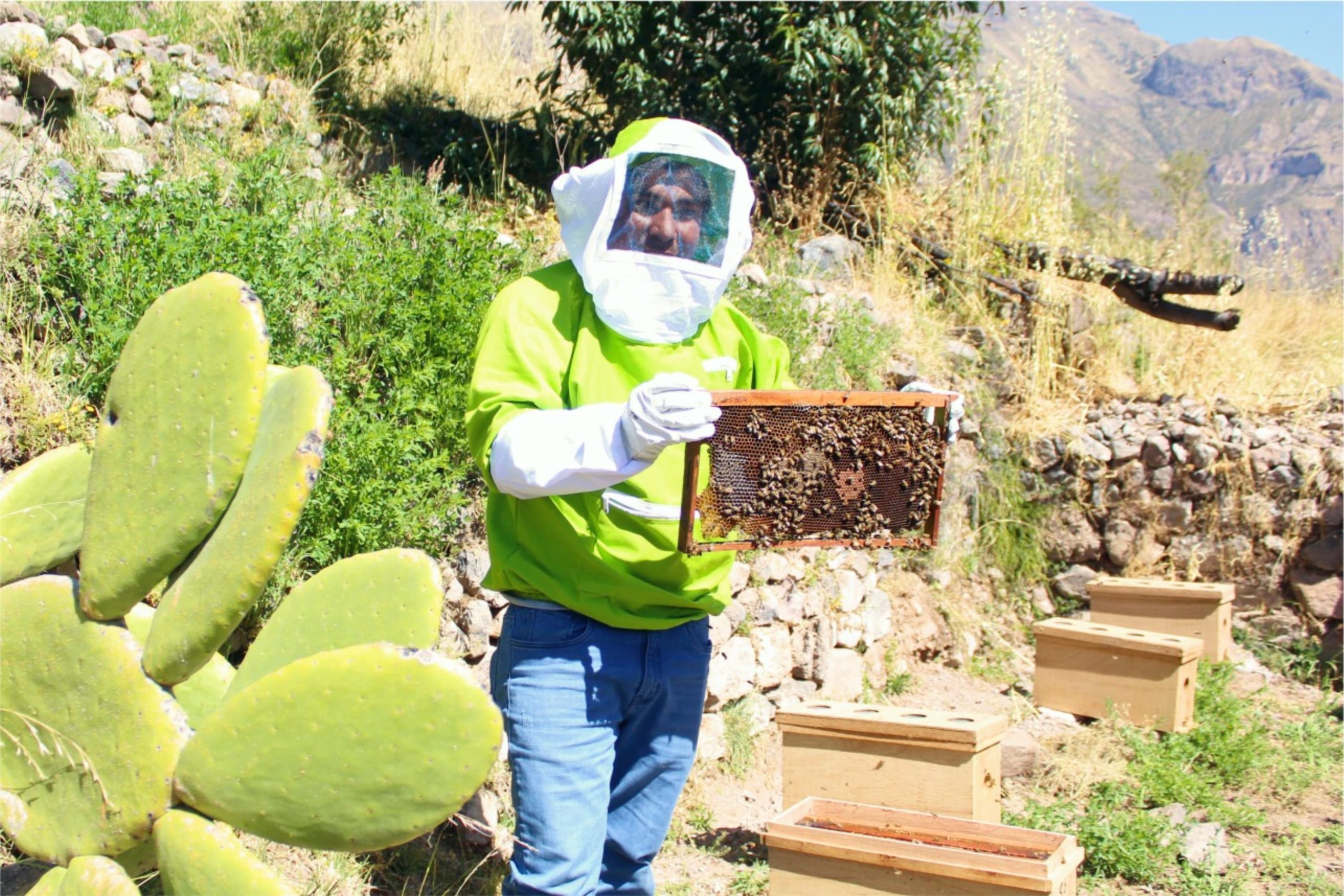 Al menos 160 beneficiarios no podrán acceder a Procompite 5