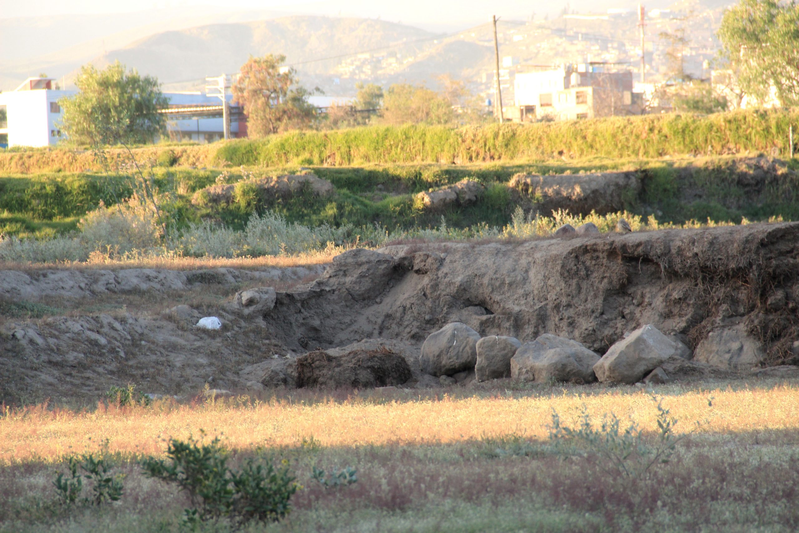 Destruyen andenería de Paucarpata declarada Patrimonio Cultural