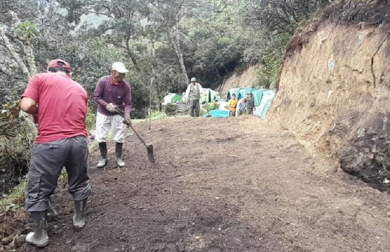 Turistas pueden ingresar al campamento 15-b de Machu Picchu