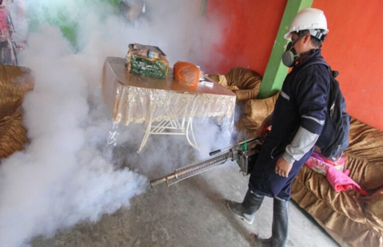 En alerta en la lucha contra el dengue y espera reducción de casos