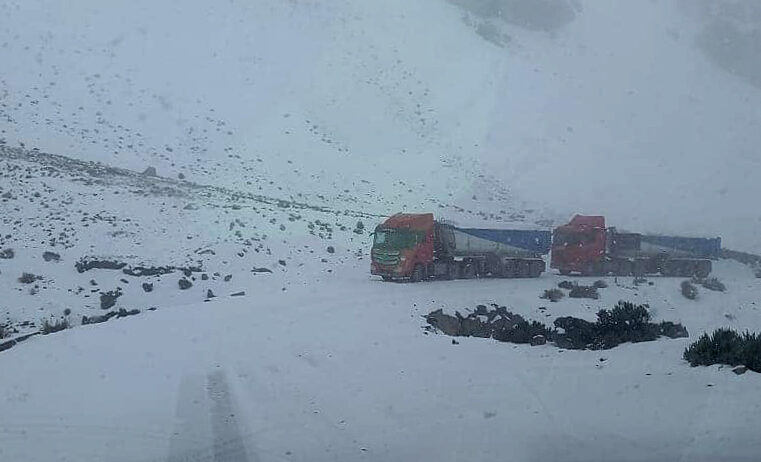 Descenso de temperaturas afecta ganadería y agricultura de Caylloma 