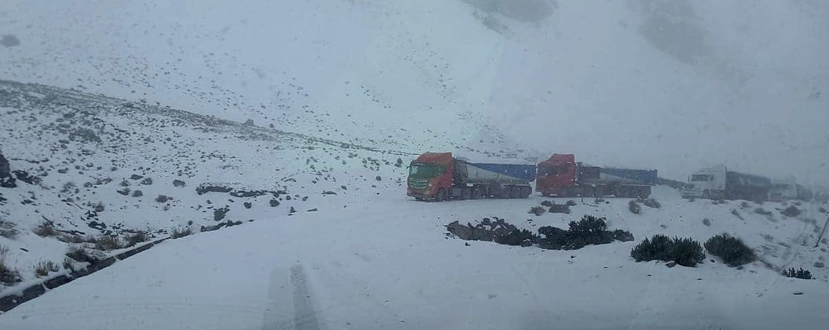 Descenso de temperaturas afecta ganadería y agricultura de Caylloma 