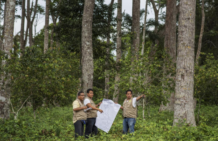 Impulsan proyecto para reducir la deforestación de los bosques