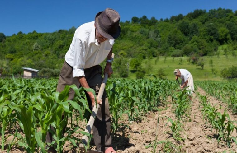 Desafíos laborales para el sector agrícola