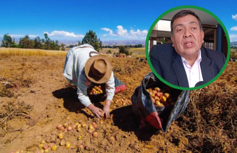 En Arequipa solo un 2% de sus agricultores exporta