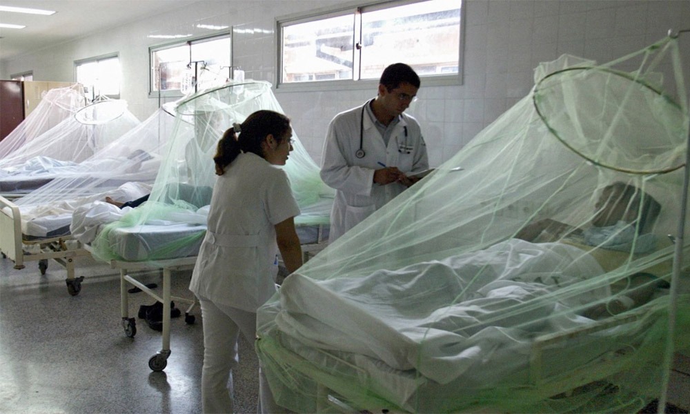 Gobierno prolongó la emergencia sanitaria por dengue durante 60 días en 19 regiones.