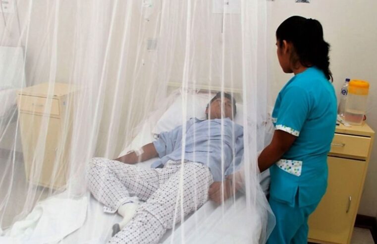Reportan tres nuevos caso de dengue autóctono en Caravelí 
