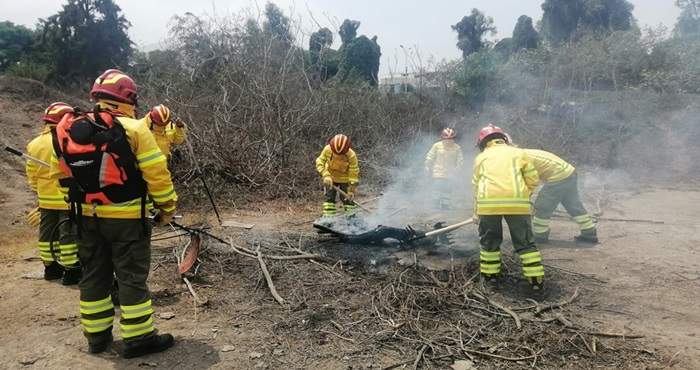 Expertos en incendios forestales adoptarán acciones preventivas