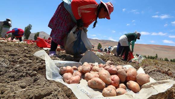 Un pésimo año para la agricultura en el Valle del Colca