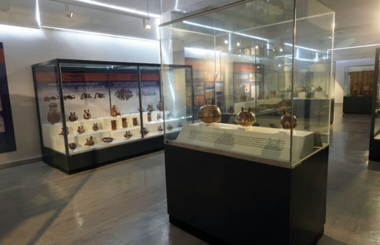 Museo Regional ofrece visita interactiva gratuita