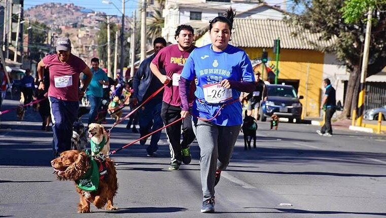 SE REALIZARÁ “PERROTÓN DEL SUR” ESTE 26 DE MAYO