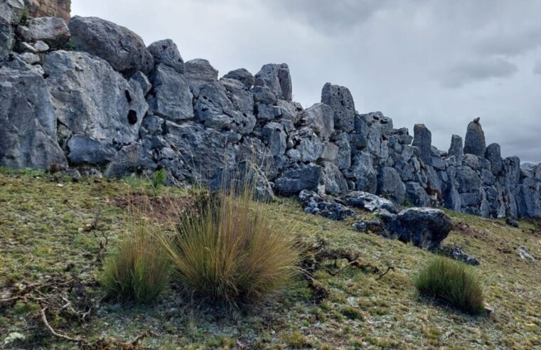 Ruta del zorro: conoce el novedoso circuito turístico