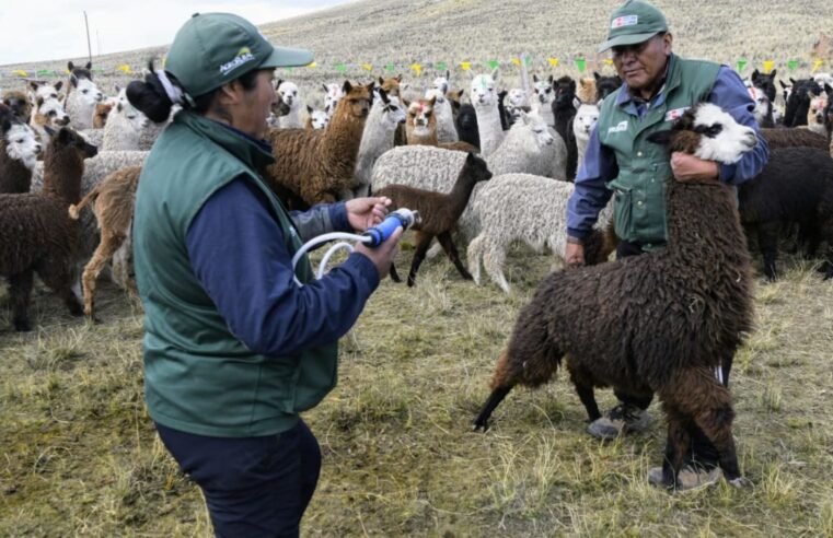 Entregan kits veterinarios para proteger 200 000 cabezas de ganado