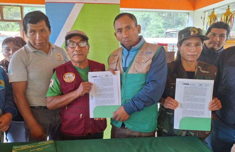 Impulsan producción de café en caseríos en la provincia de Sandia