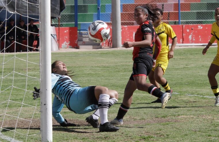 Las «Leonas» en la pelea por el título