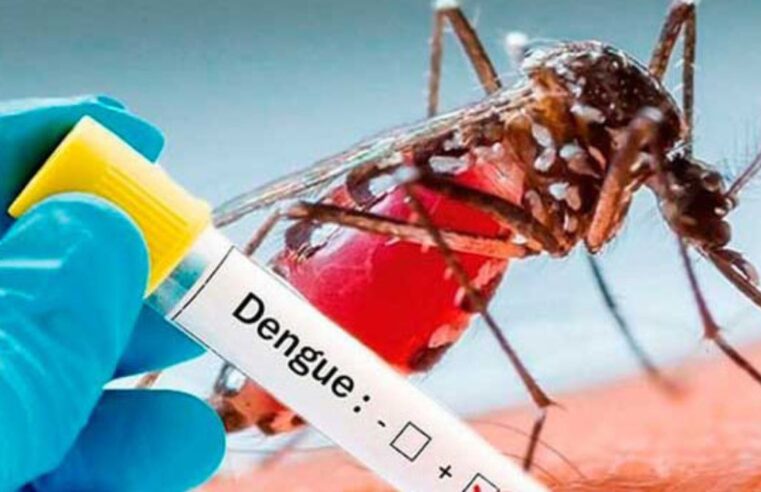 Nuevo caso de dengue en la costa de Arequipa