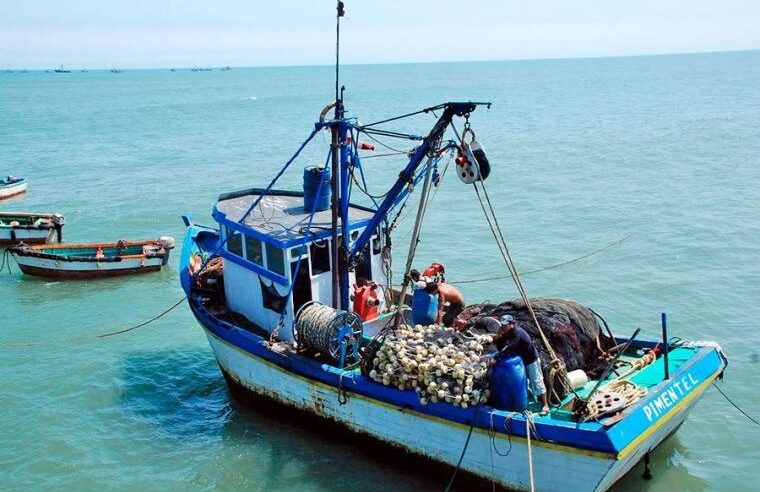 BARCOS AUTORIZADOS PROVENIENTES DE CHINA EXTRAEN GRANDES CANTIDADES DE PESCA EN MATARANI