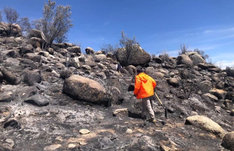 Advierten sobre condiciones atmosféricas favorables ante incendios forestales