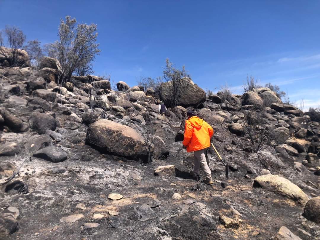 Advierten sobre condiciones atmosféricas favorables ante incendios forestales