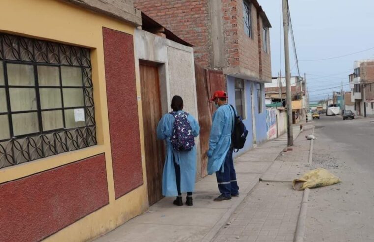 Casos de dengue autóctono podrían expandirse a Majes y El Pedregal