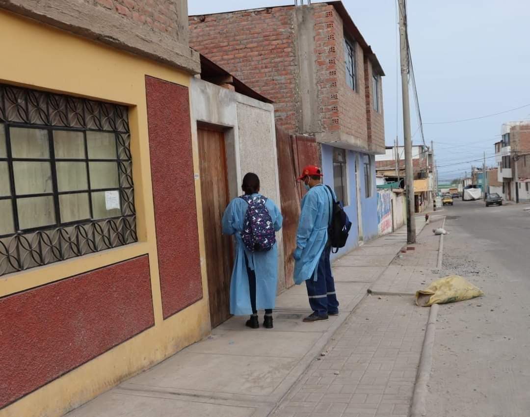 Casos de dengue autóctono podrían expandirse a Majes y El Pedregal