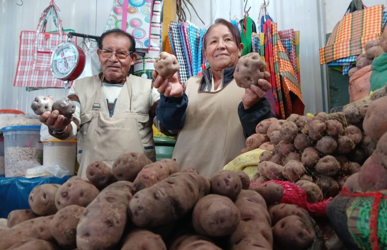 La papa es la reina de la cocina