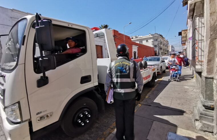 Trasladaron 245 unidades al depósito municipal en mayo