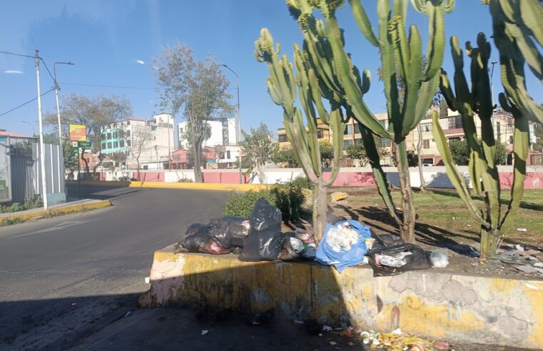 FOTO DE HOY MIERCOLES 19 DE JUNIO