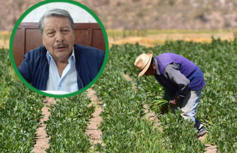 SADA pide a las autoridades accionar en la agricultura con la importancia que se debe