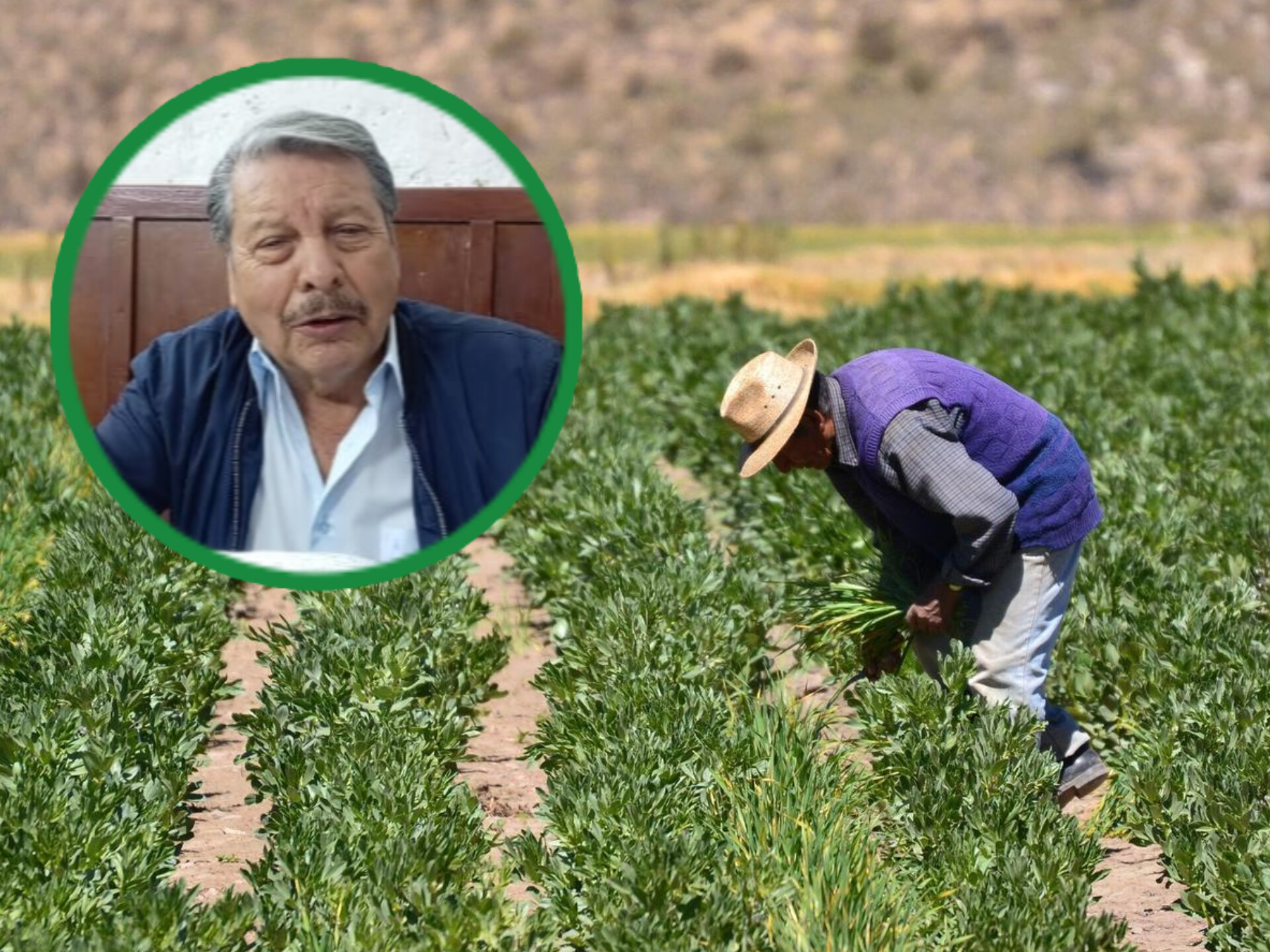 SADA pide a las autoridades accionar en la agricultura con la importancia que se debe