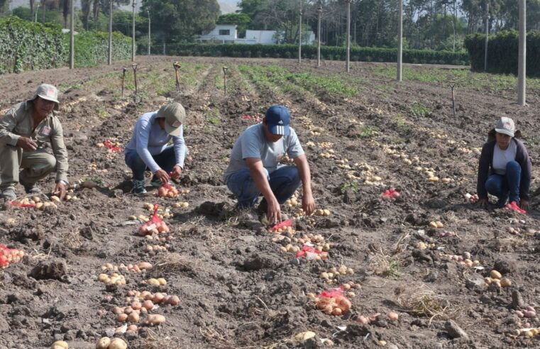 Entrega más de 2 mil títulos agrarios en el Día del Campesino