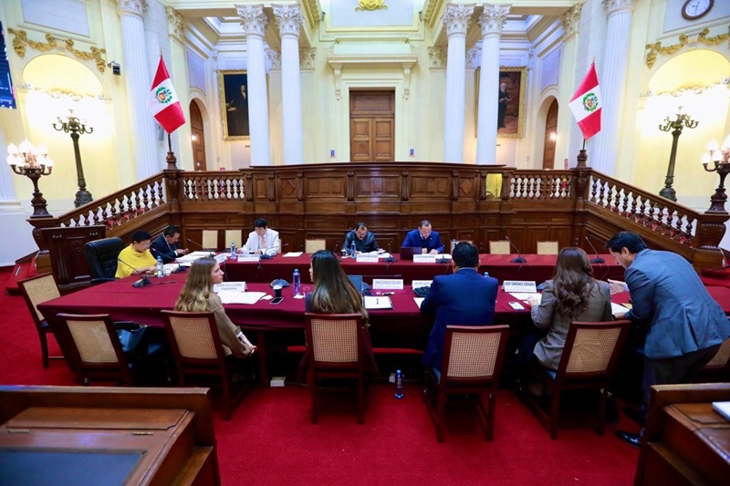 Constitución aprueba delegar facultades legislativas al Ejecutivo