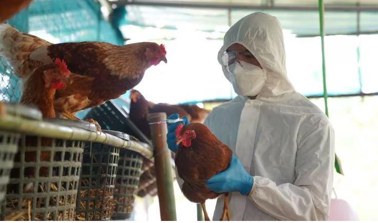 MÉXICO: GRIPE H5N2 FALLECIDO