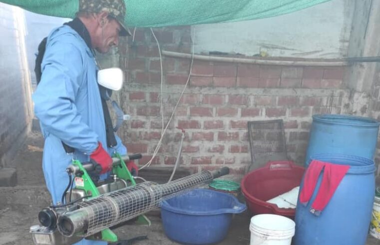 Mañana Inicia fumigación de viviendas en Acarí 