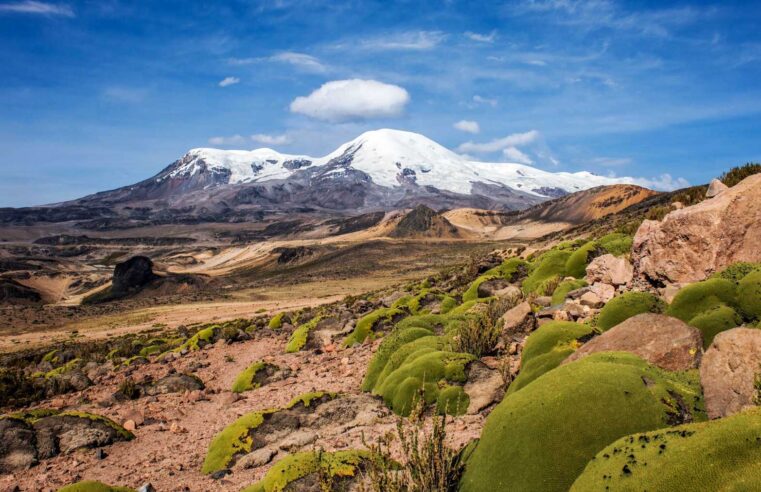 Inician actualización de áreas de Conservación Regional en Arequipa